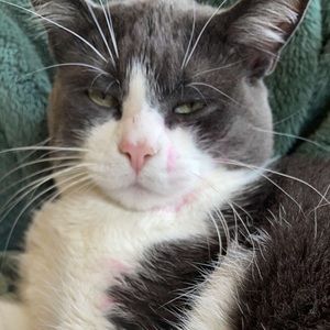 Meet your Posher, Coral